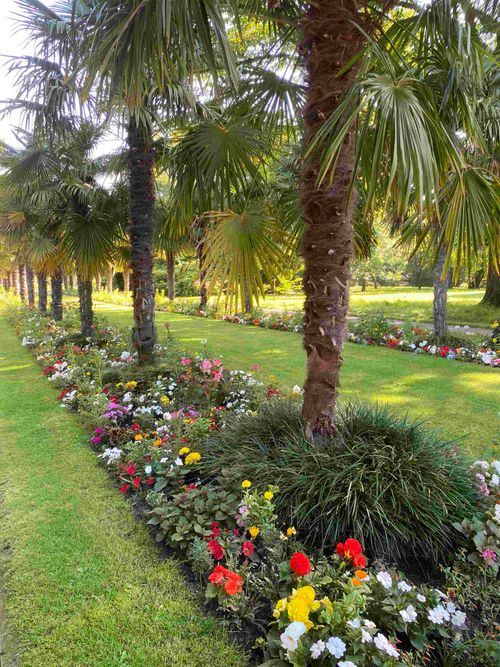 Botanischer Feierabendrundgang