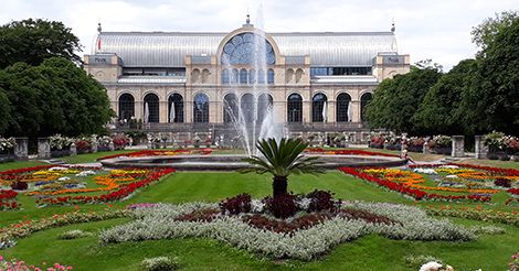 Themenführung im Botanischen Garten