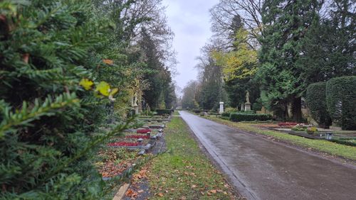 Friedhöfe – mehr als nur ein Ort der Trauer Führung über den Ostfriedhof