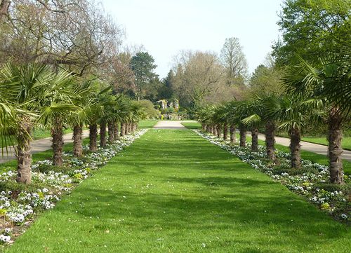 Botanische Mittagspause