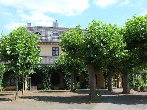 Friedhofskino: Premiere in der Trauerhalle auf dem Westfriedhof