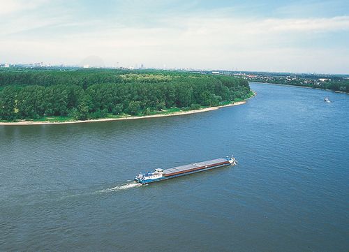 Wanderung am Weißen Rheinbogen