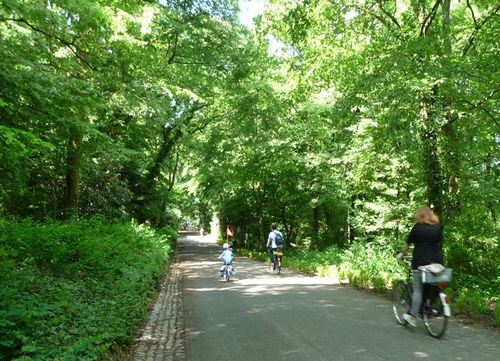 Radführung durch den äußeren Wald- und Wiesengürtel