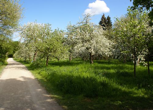 Offene Führung für Erwachsene durch den Naturerlebnisgarten