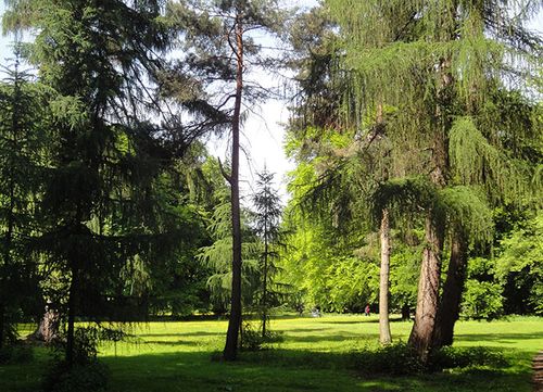 Führung durch den Stadtwald